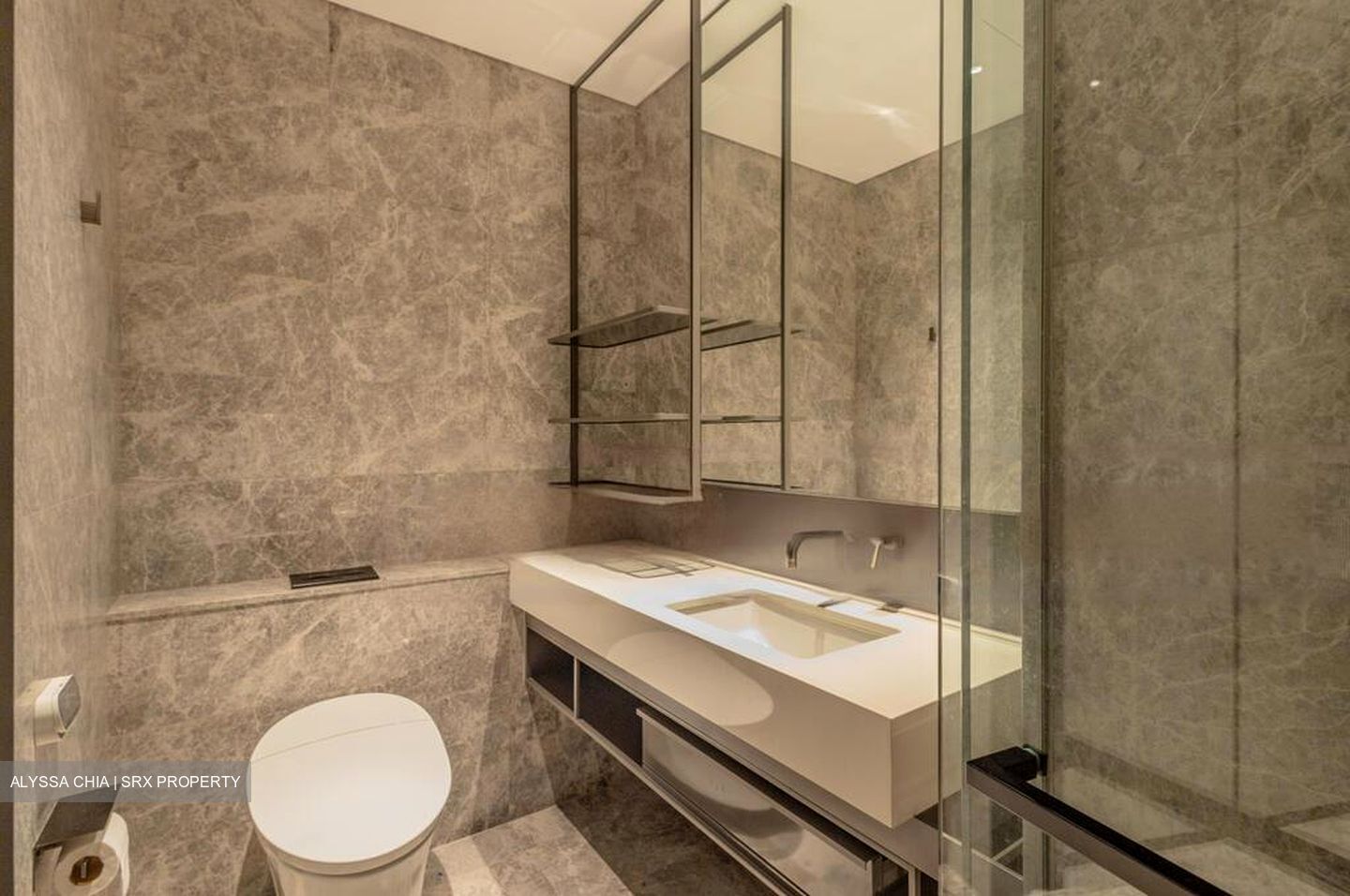 Cuscaden Reserve (D10), Condominium #443199021